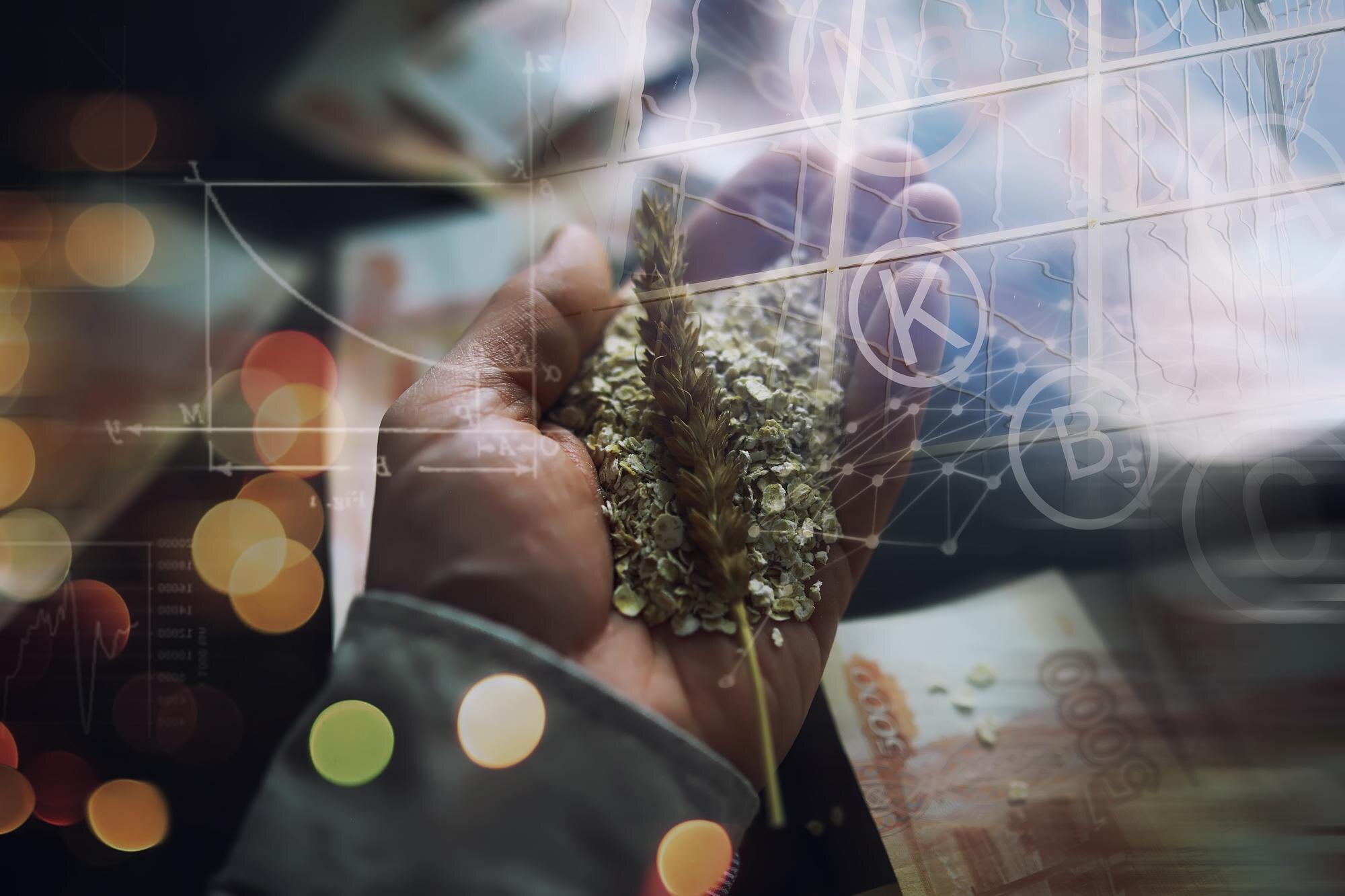 From Data to Demand: How Market Insights Supercharge Cannabis Brand Visibility