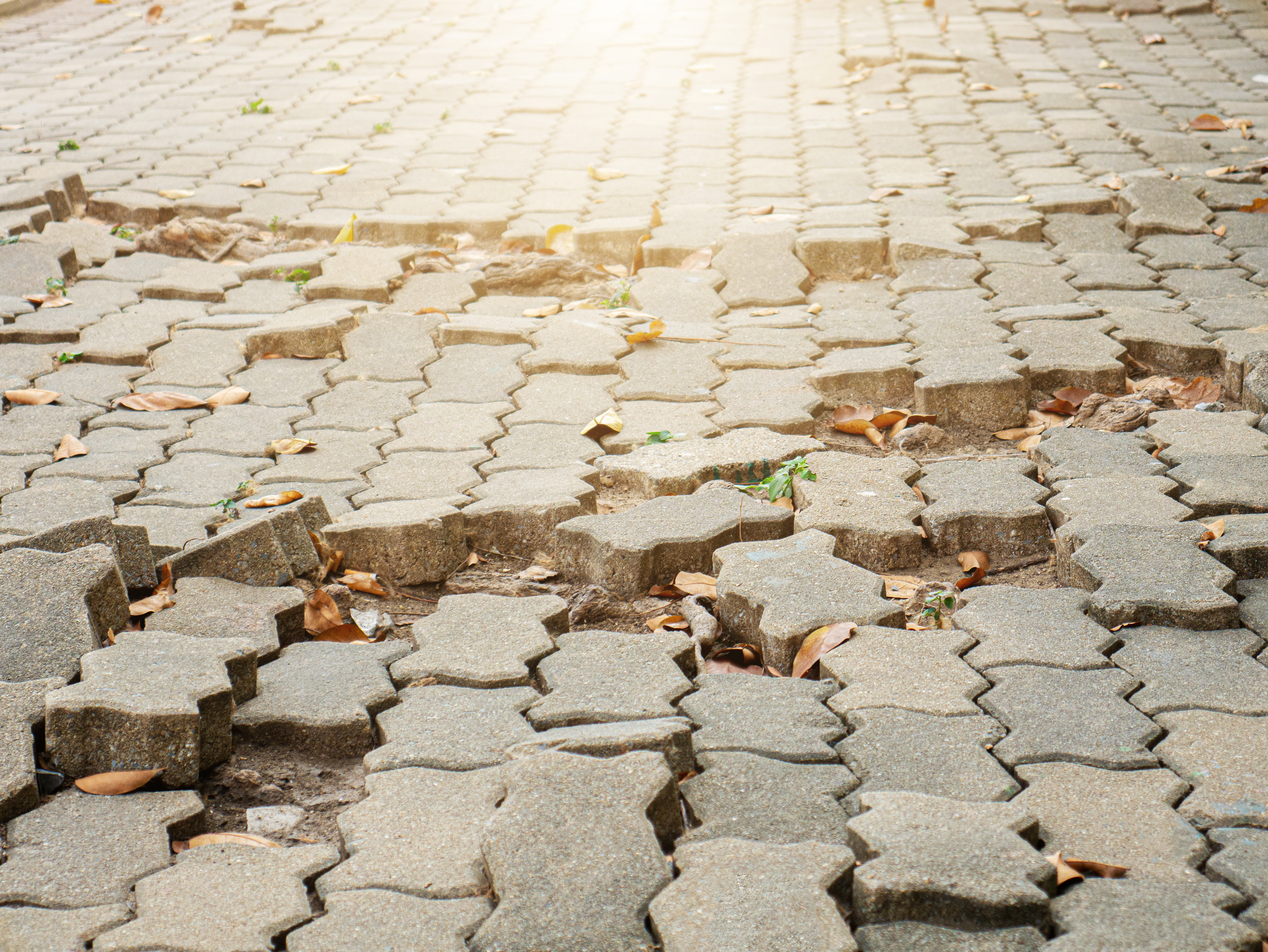 alt="paves and hardscape shifting"