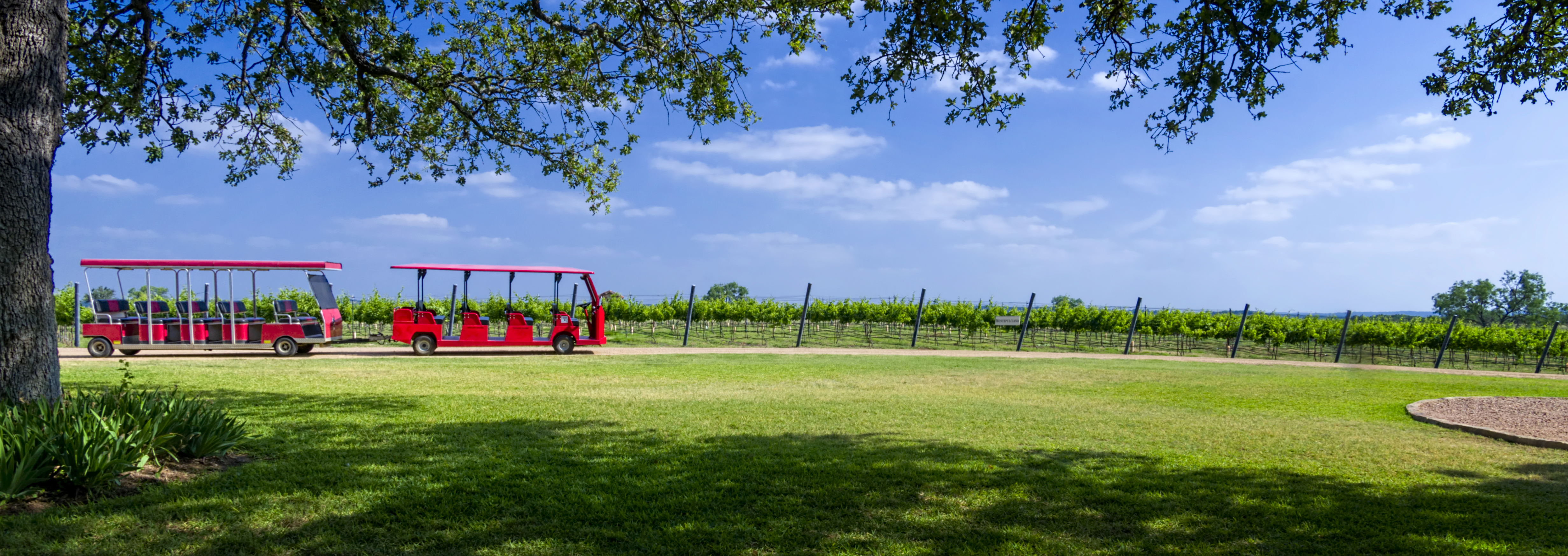 Luxury Travel Hacks Every Wine Enthusiast Should Know for Your Next Fredericksburg Adventure 8 Fredericksburg Adventure