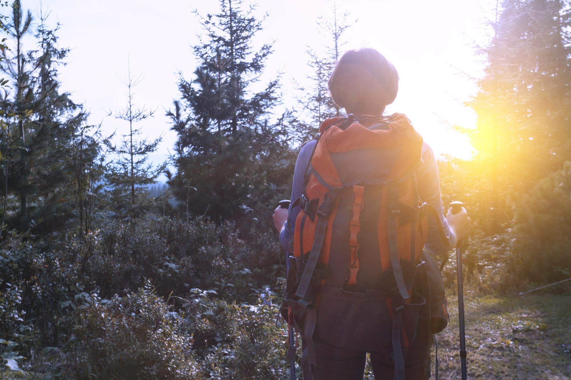 A person hiking on a trail with trees areound them