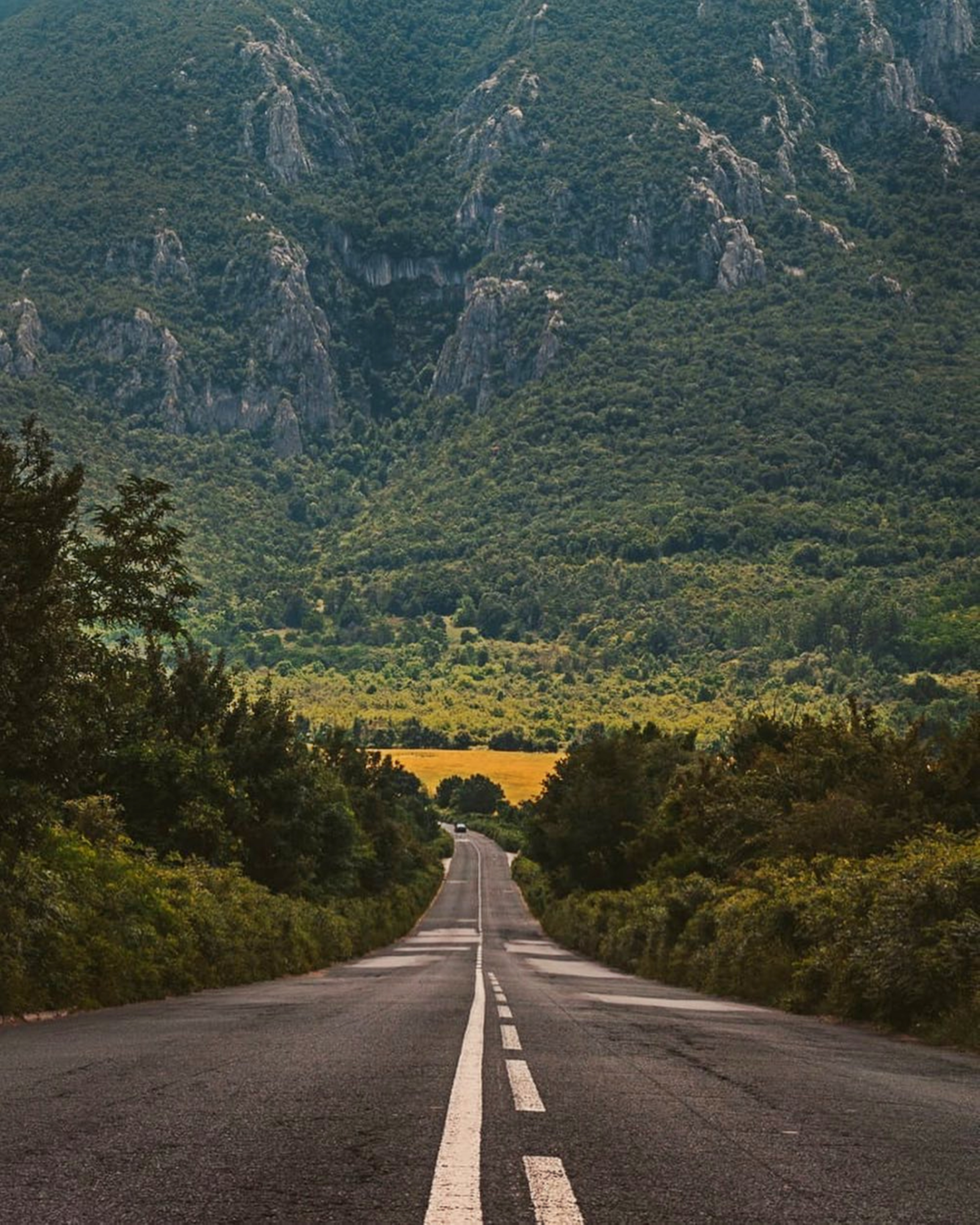 travelling in a road surrounded by hills and fores 0b4e00554bdf2ff6cf5b BTOURS