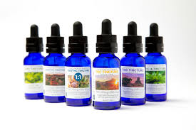 Terpenes 101: How They Shape Your Experience—and How to Choose Yours at Elevation 6420