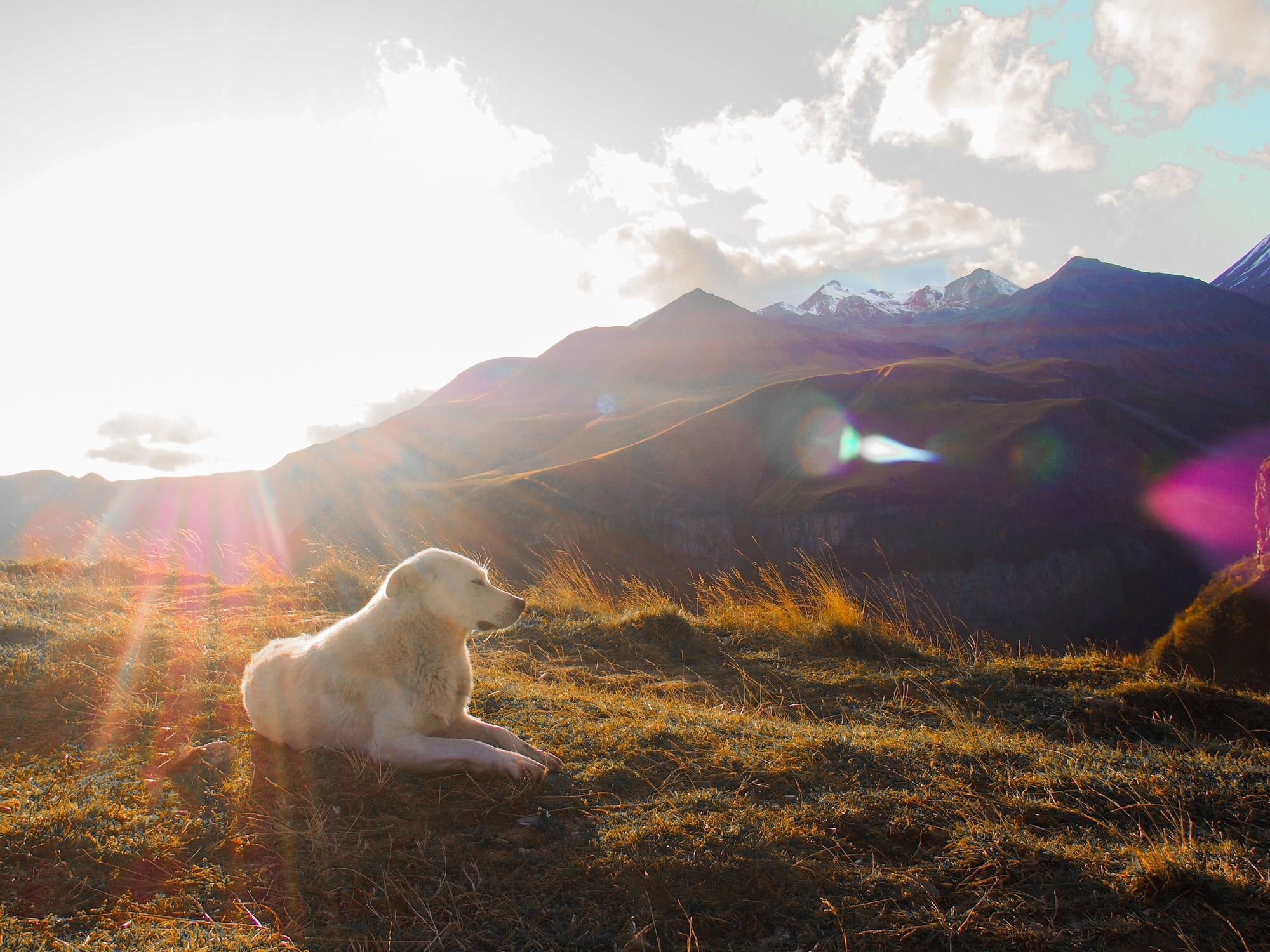 scattering ashes at sea uk