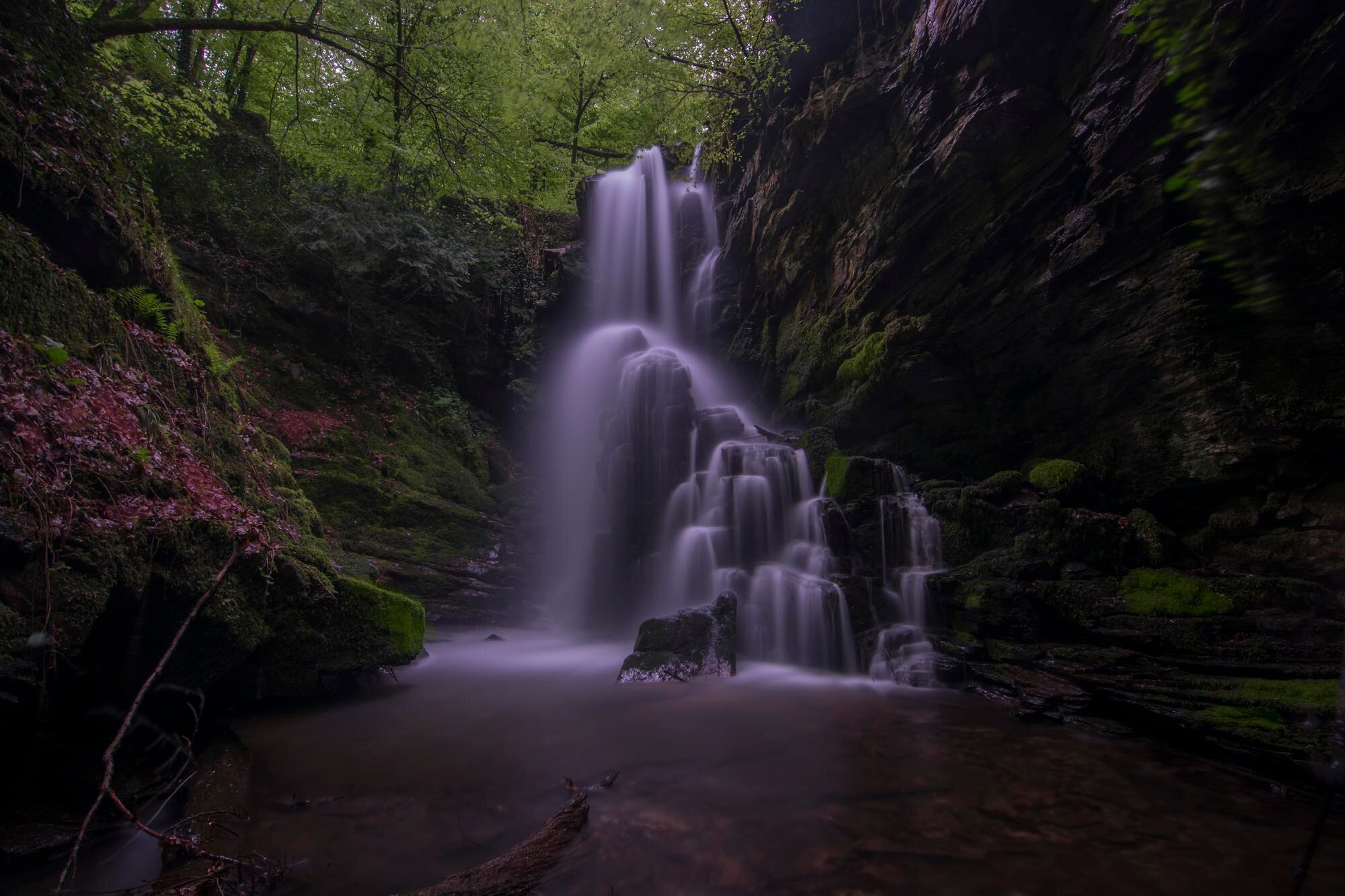 Uncover Hidden Treasures: Expert Tips for Discovering Local Gems Off the Beaten Path 5 view of waterfall in forest 5e7ae4aa5c1fc928e4d0 BTOURS