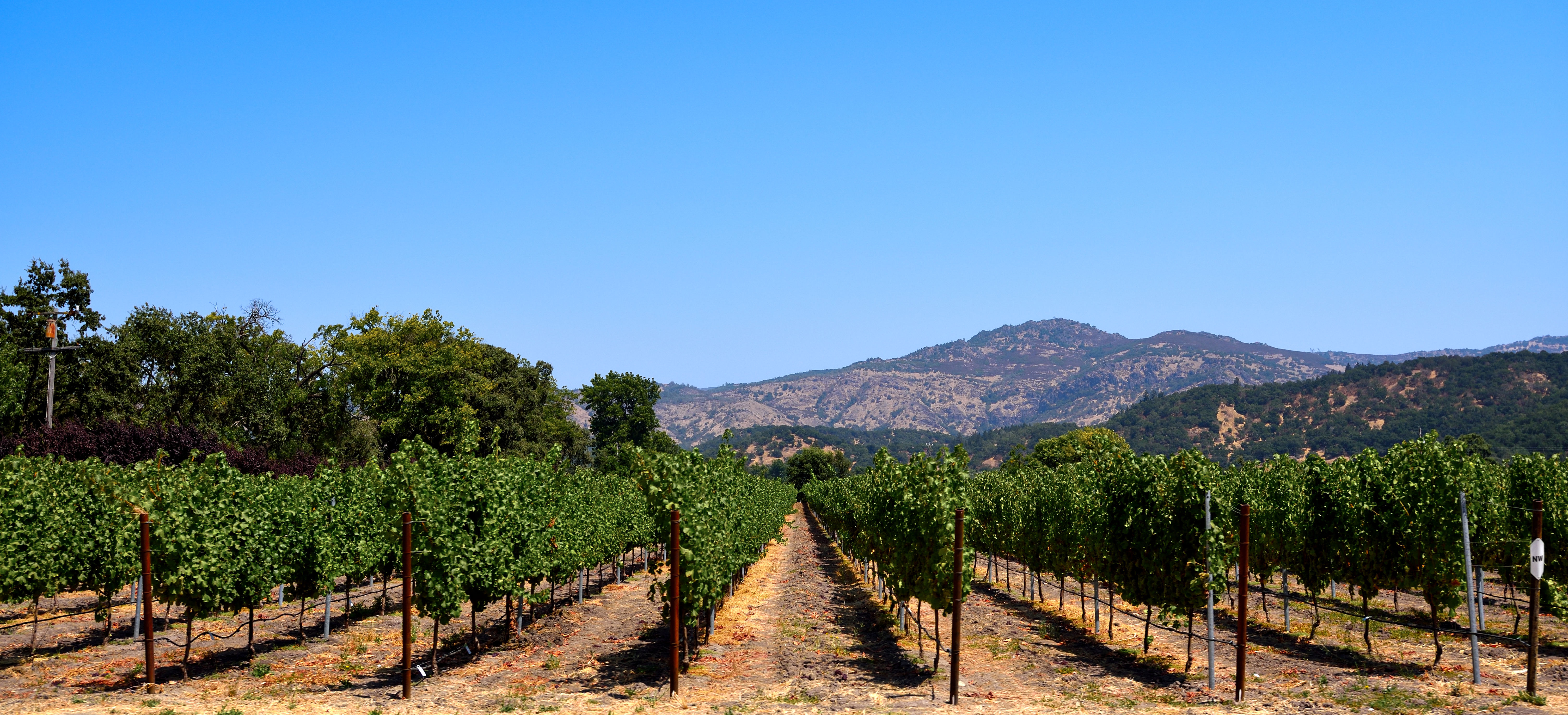 Top Tips for Stress-Free Airport Transfers to Wine Country 8 Tips for Stress-Free Airport Transfers