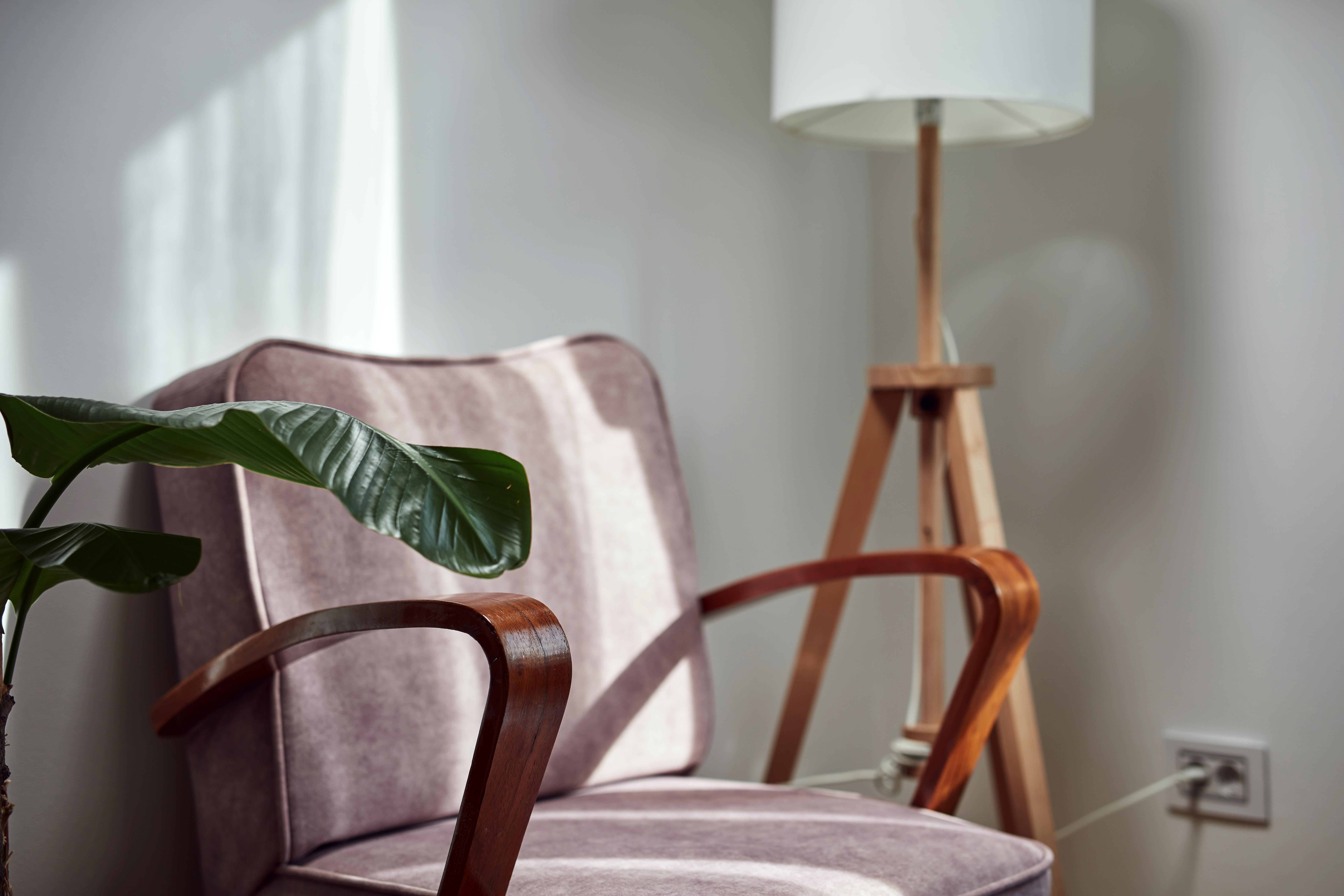 Featured image: Vintage arm chair with plant and a lamp-4ef04cb378ccbe45bd09