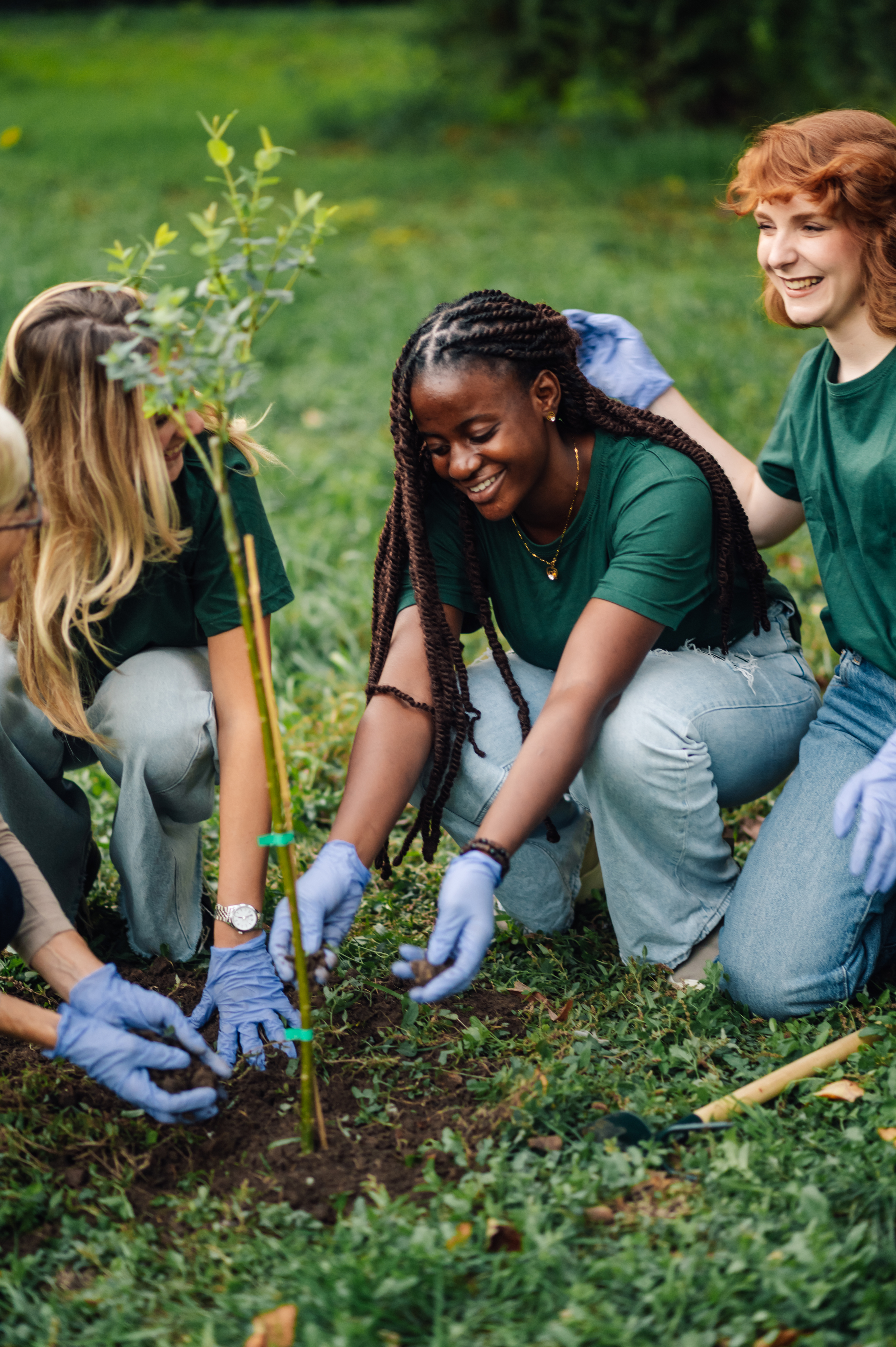 Cultivating Change: The Transformative Power of Gardening Education in Communities Volunteers Planting A Young Tree In A Park For A G Ba0034480fcbff99f670