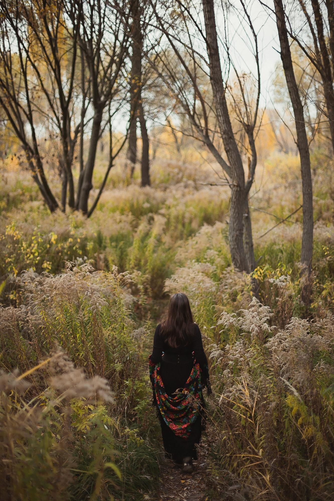 walking through high blooming grass scenic photogr e9d9767485660d1c308f