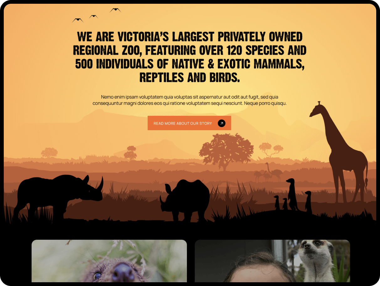 web development sydney image 210f7cb1c7d7dd1e59a5