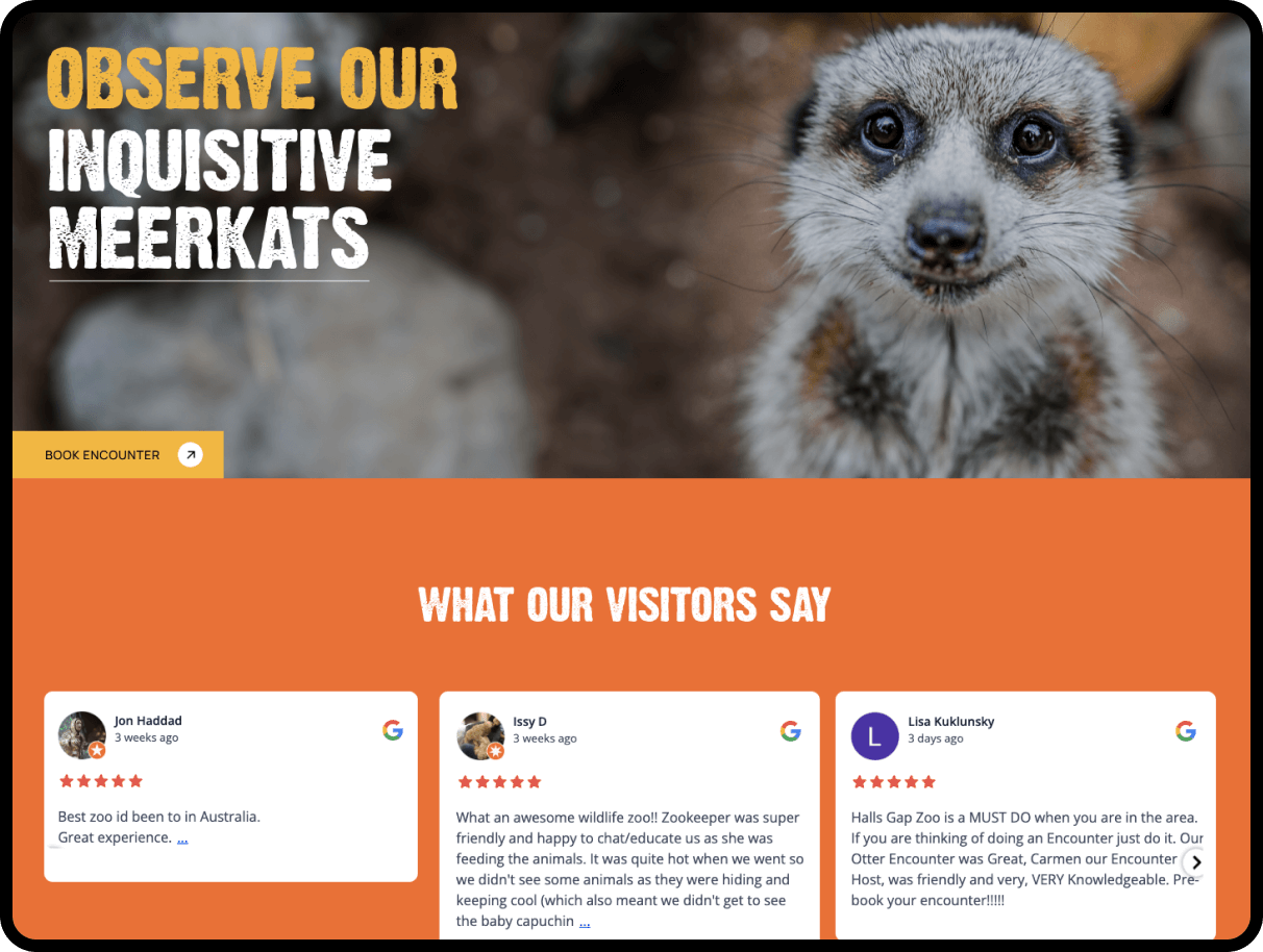 web development sydney image 8b028235e73d647bc436