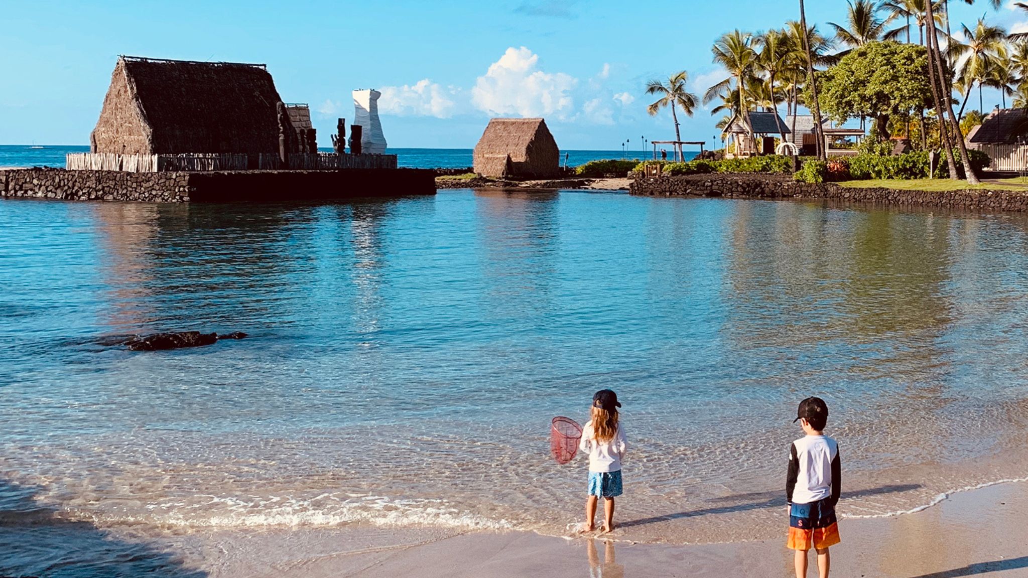 Essential Tips for Moving to Kona