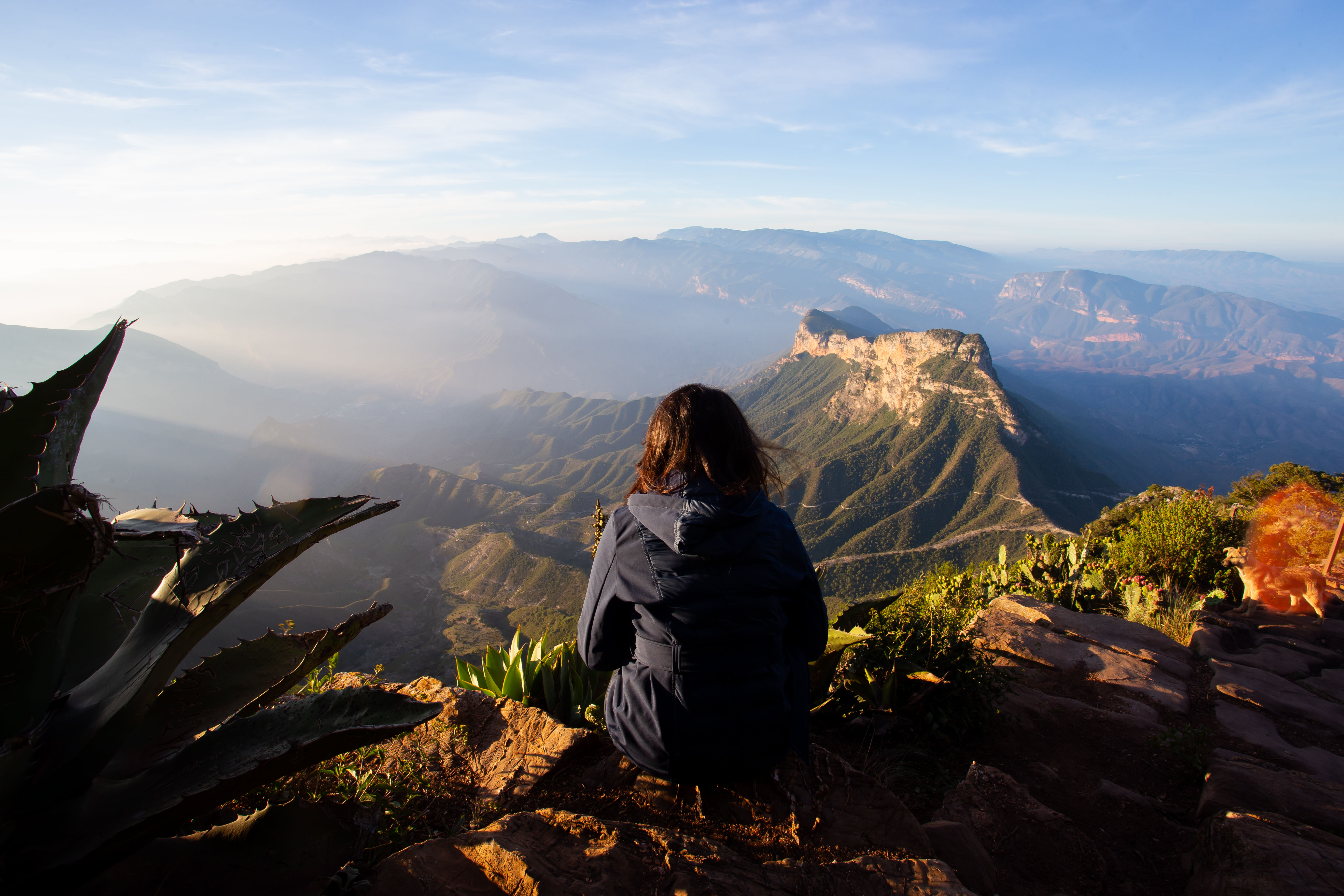 woman enjoying the view a70eb009aa2f95a45fc0