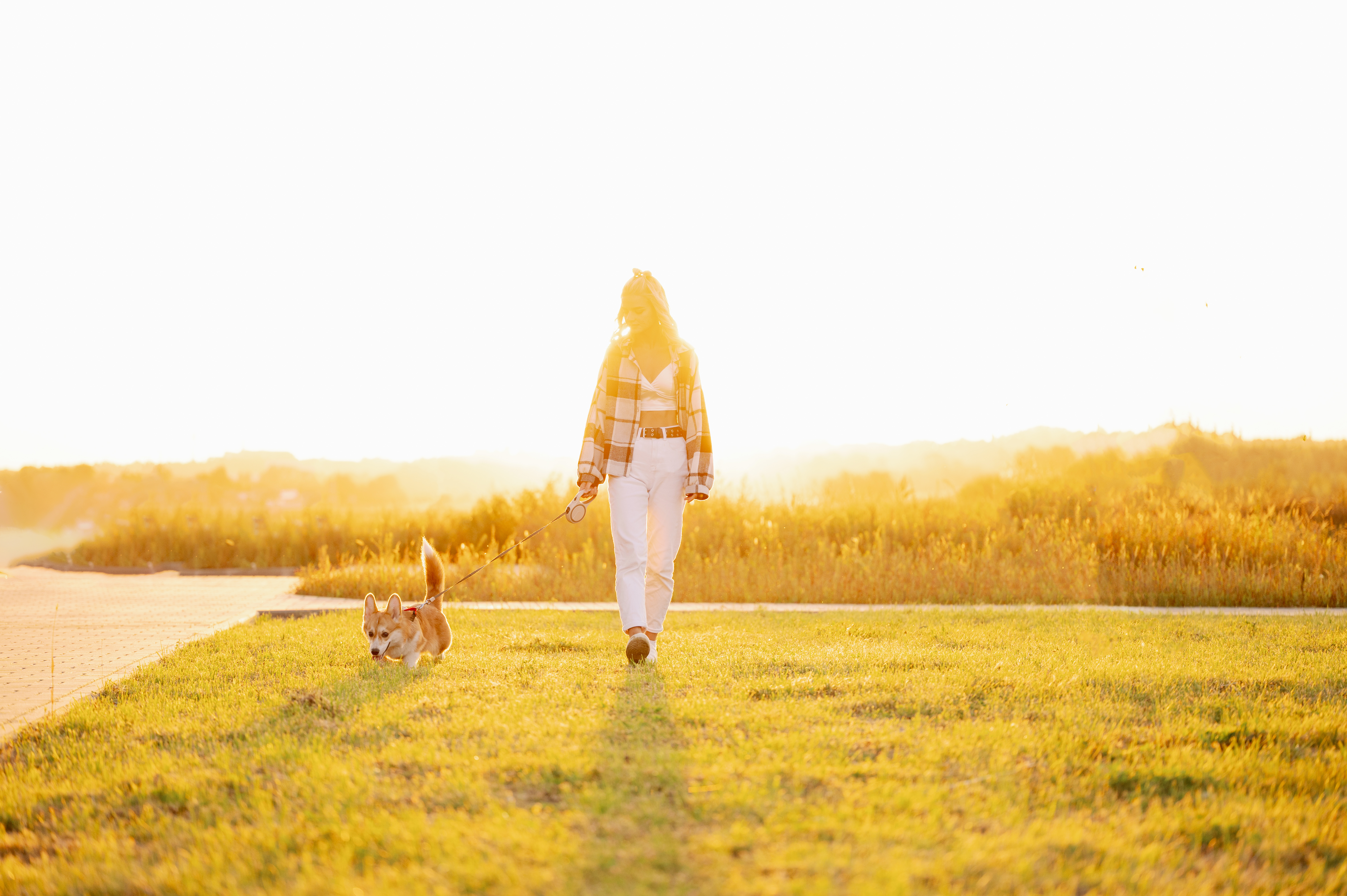 Overnight Pet Care Tallahassee