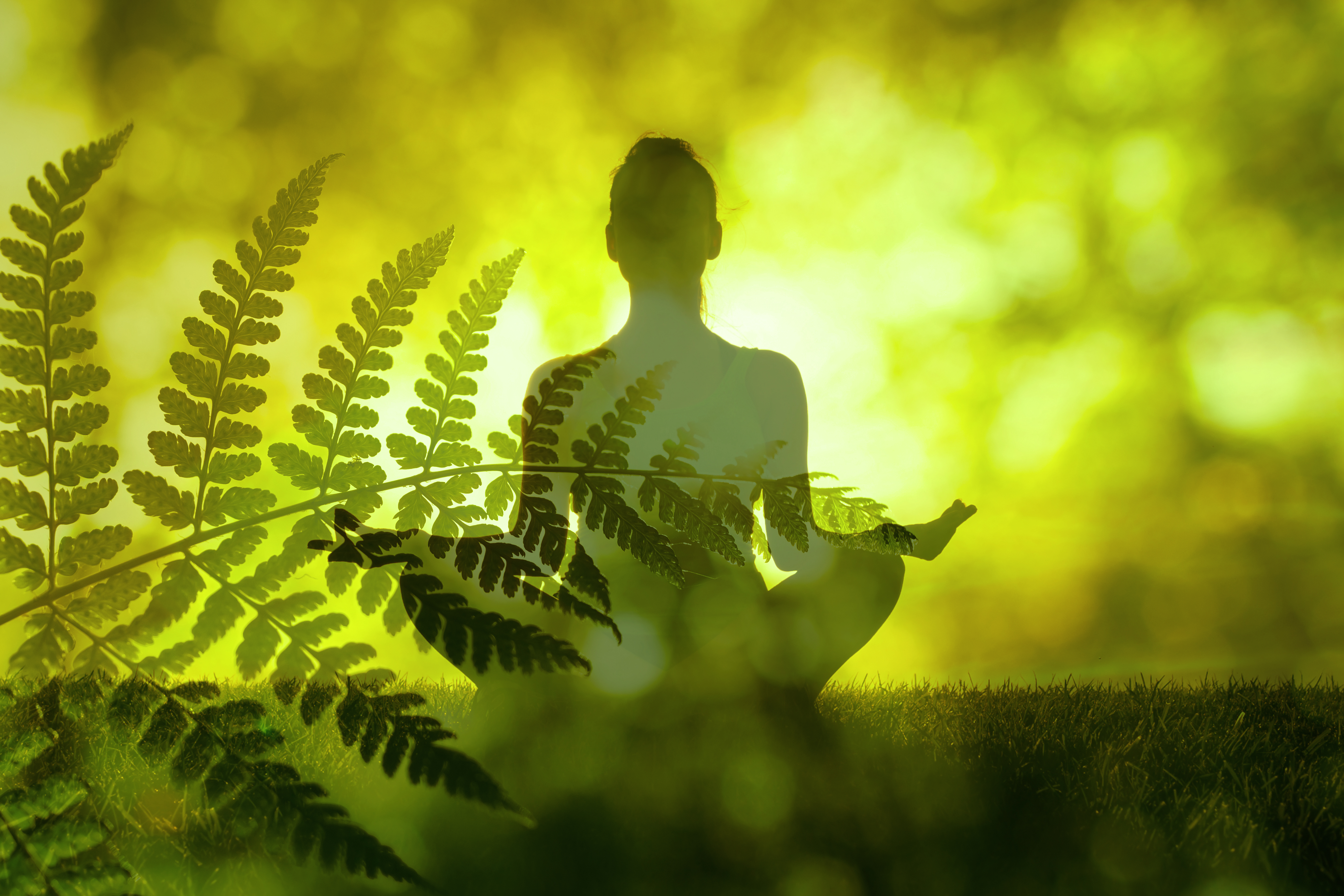 Mind-Body Healing: Your Powerful Ally in Cancer Recovery