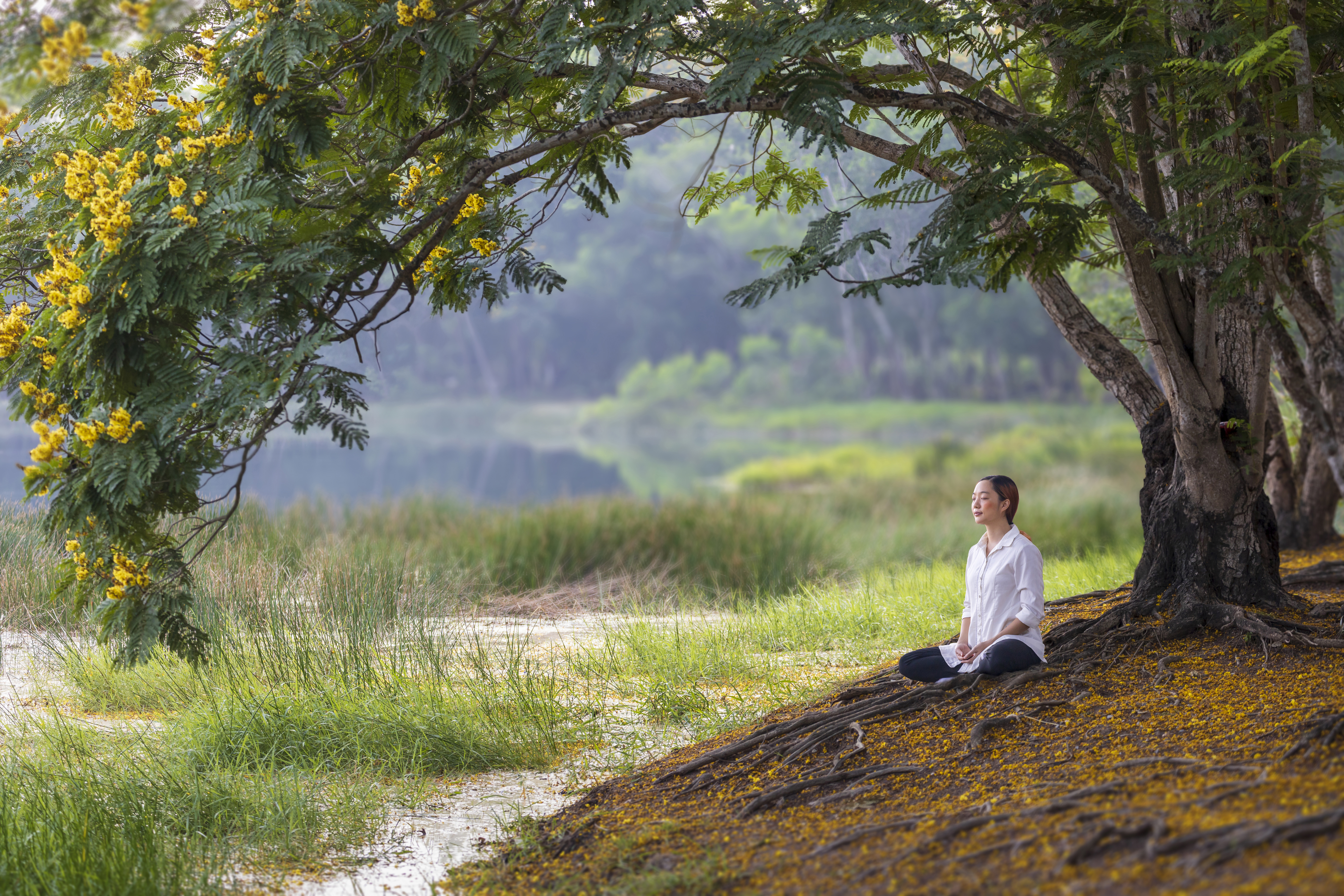 woman relaxingly practicing meditation in the publ 137301e8196f3bb21556