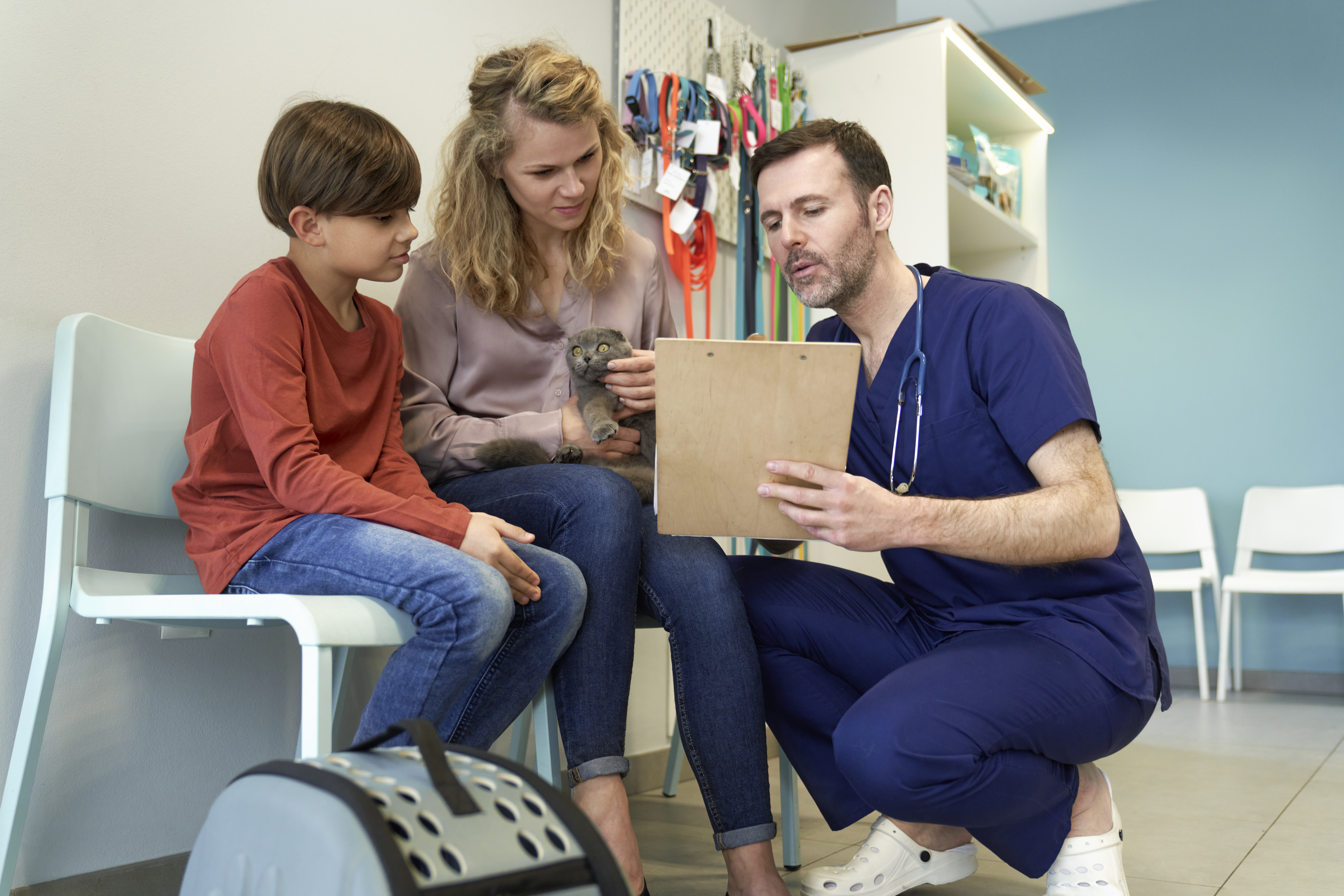 woman with son and cat at the veterinarian visit d8afca42316e4739464c
