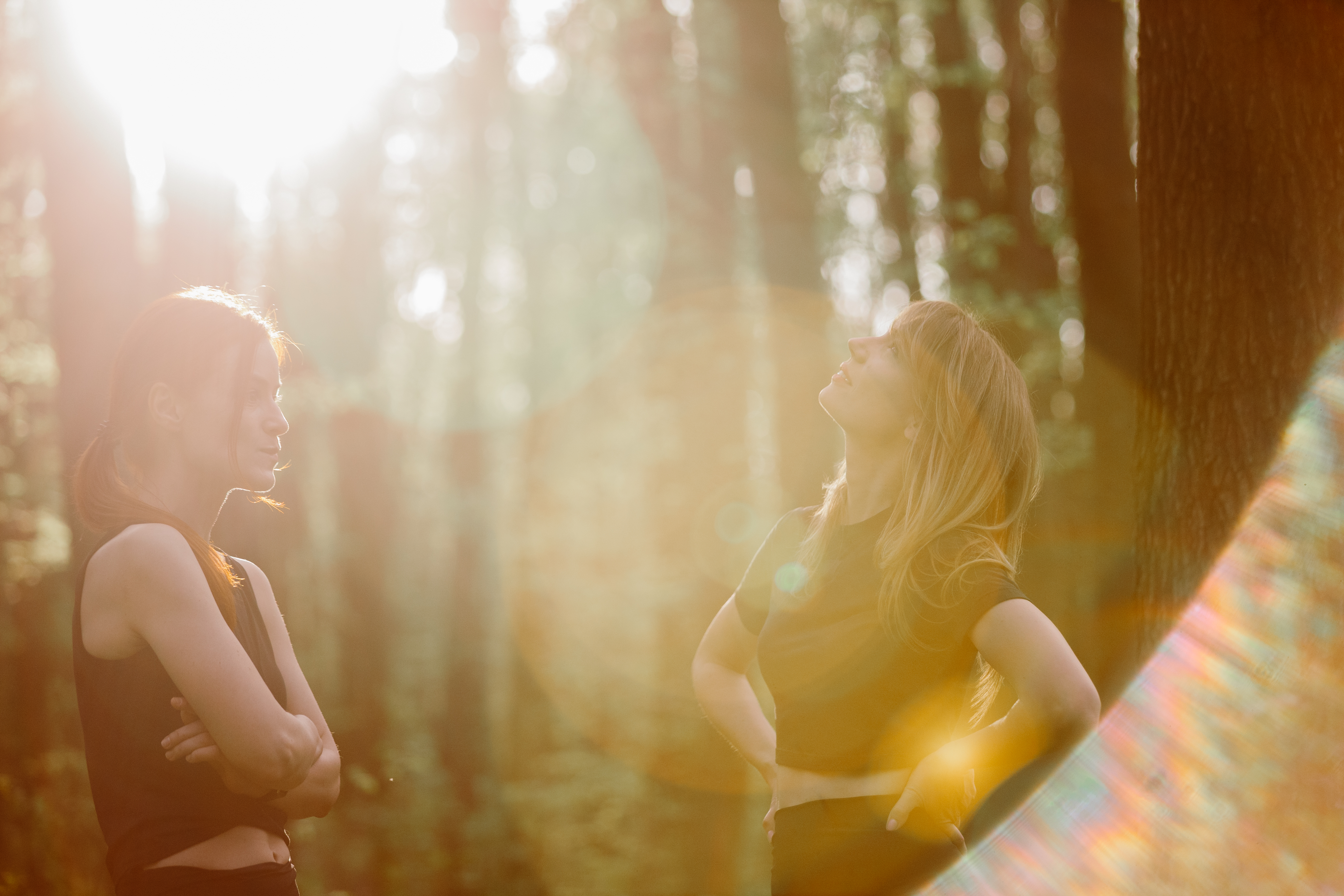 Where Light Meets Shadow: Why Equinox and Solstice Matter in Feminine Traditions