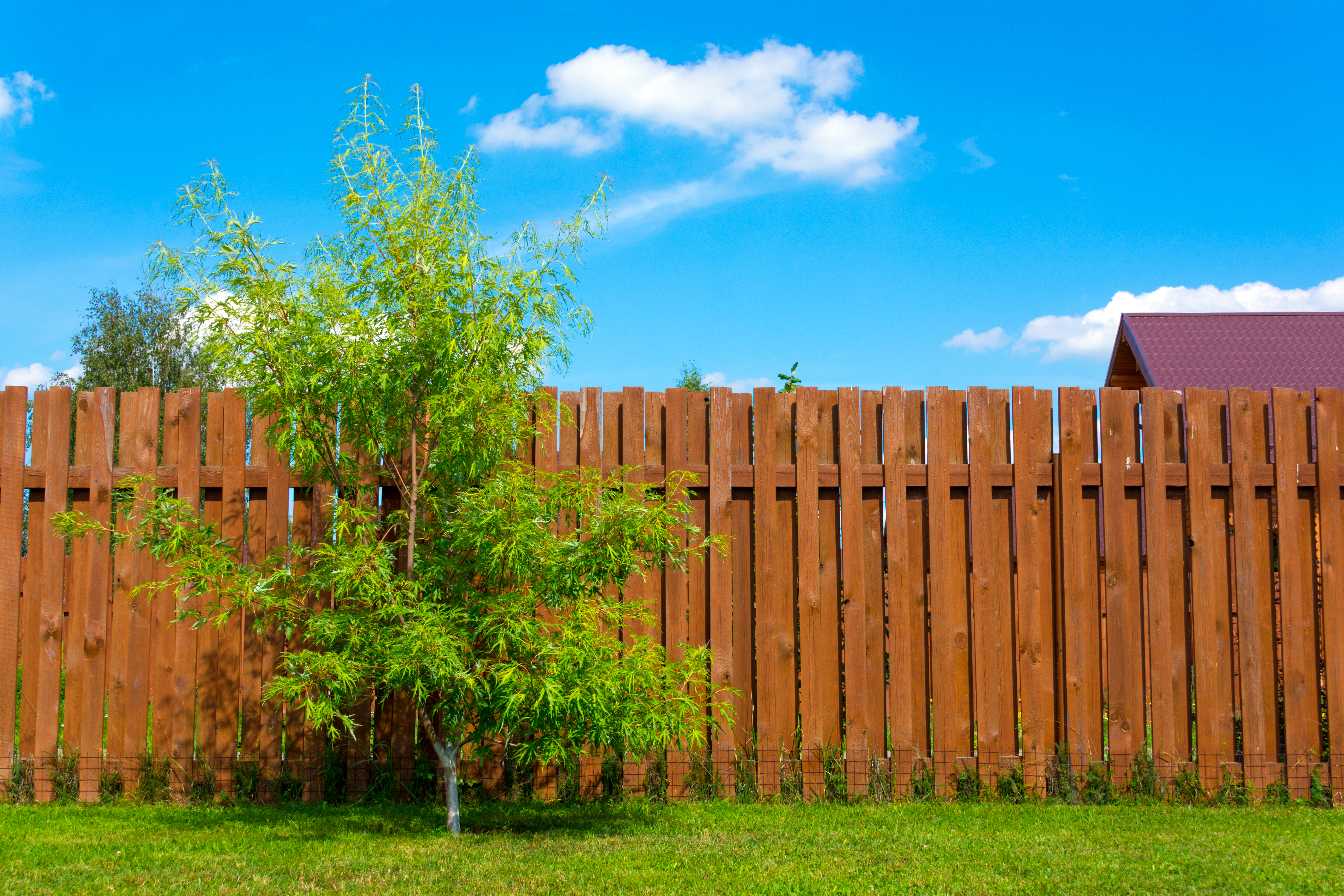 Transformative Fencing Solutions for Peace of Mind 11 wooden fence 32ac5cee688864d79d62