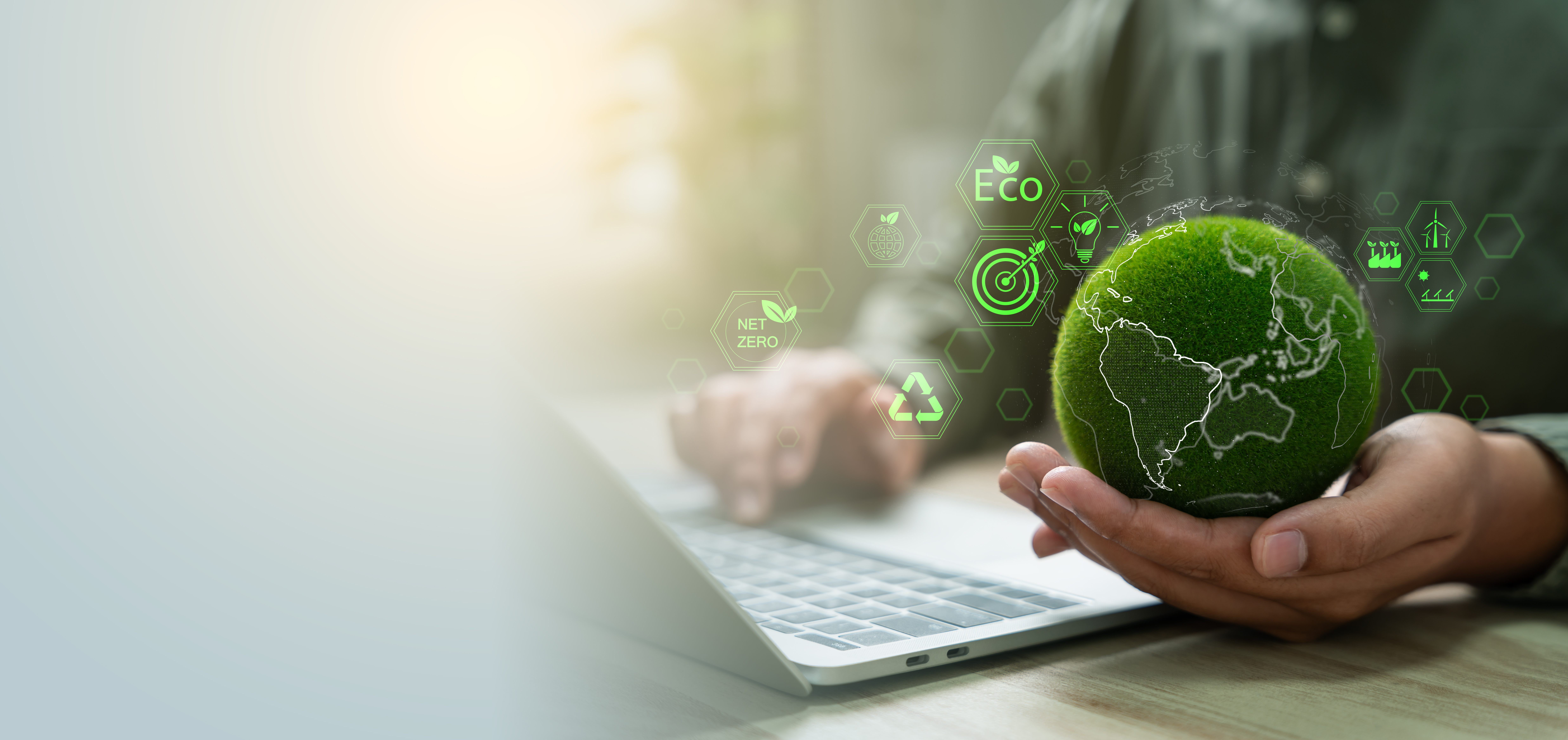 world environment day responsibility for a green 02dfc2bd59cbf05e9304