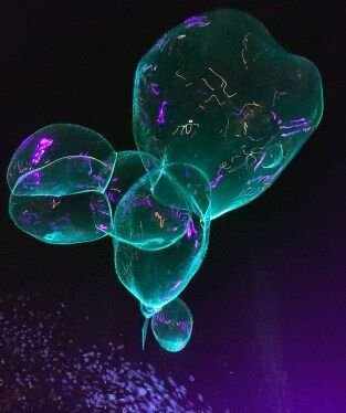 pectacular glow in the dark bubble show for nighttime events.
