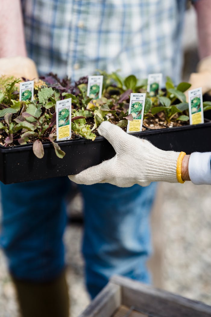 Www Hippieshelpersfoundation 16368d7249f516f7dbb5