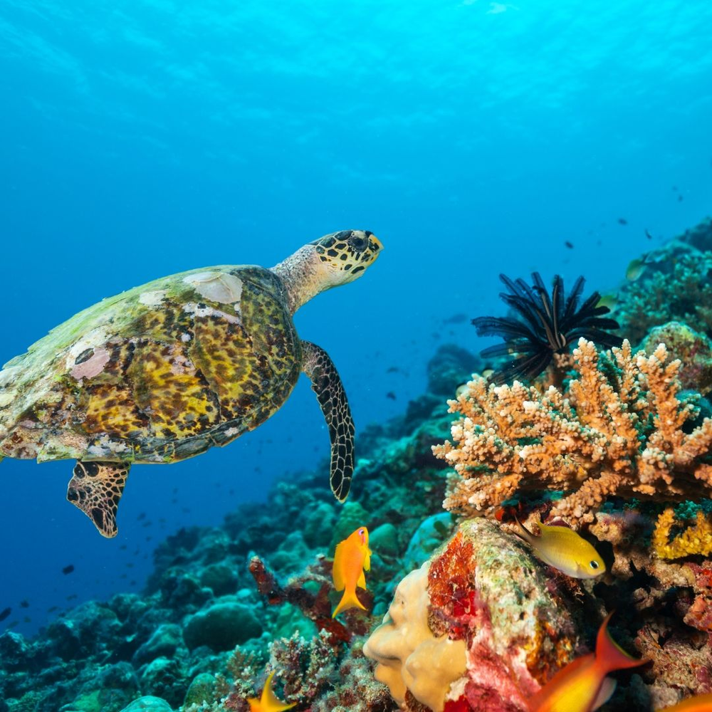Jamaica Itinerary