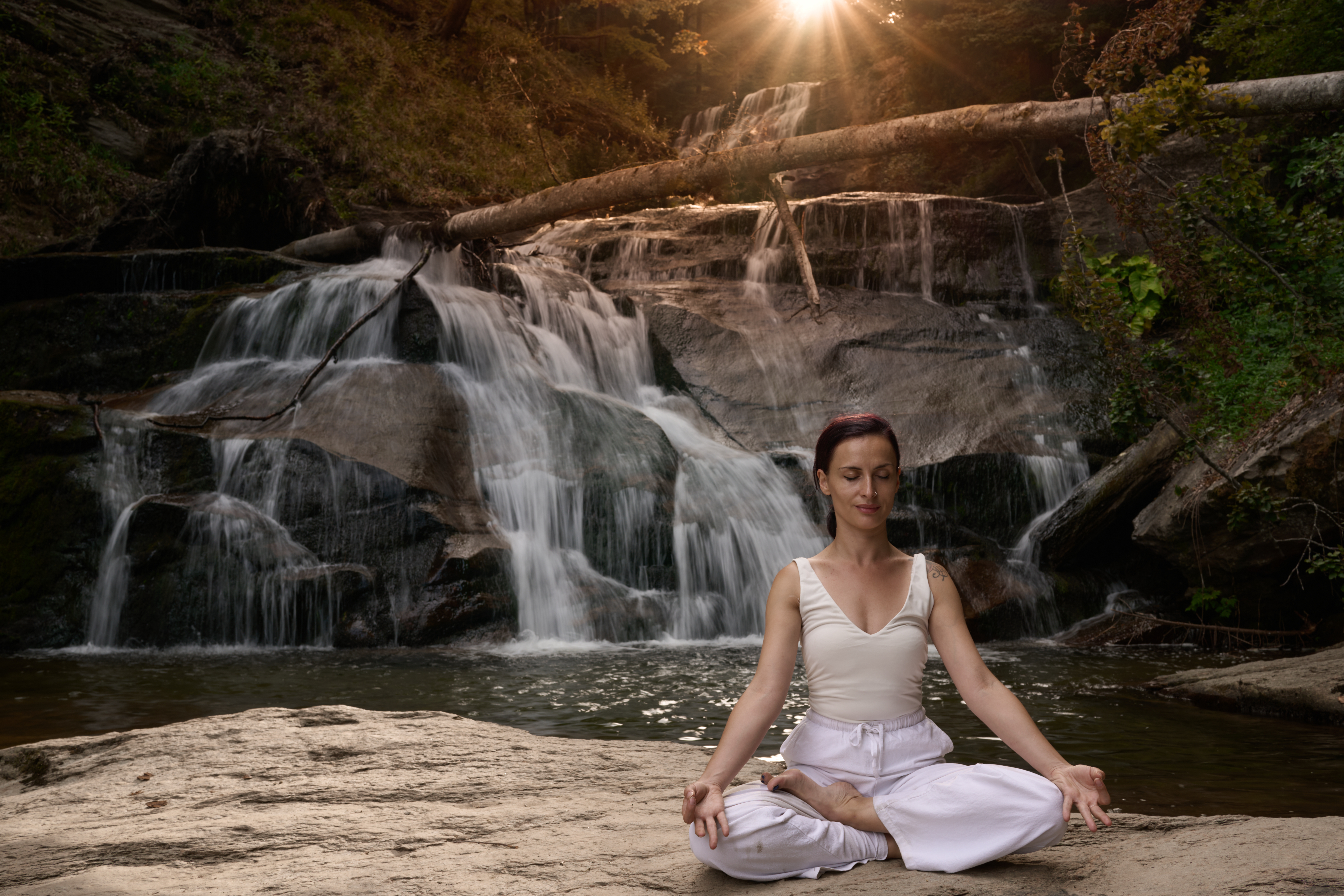 young woman sitting in lotus pose under tropical w b6b7e6c336e56c754a1f